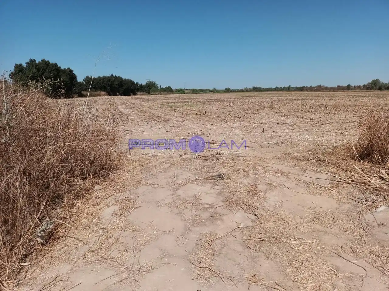 Lands and plots for sale in carretera, imagen 8