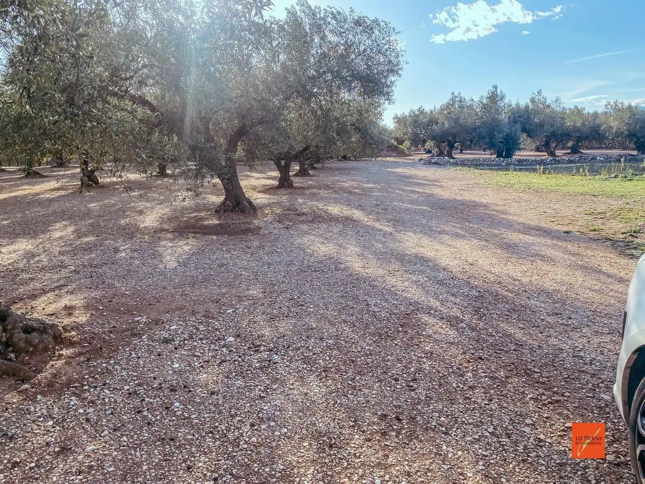 Finca rústica en venta en Santa Bàrbara