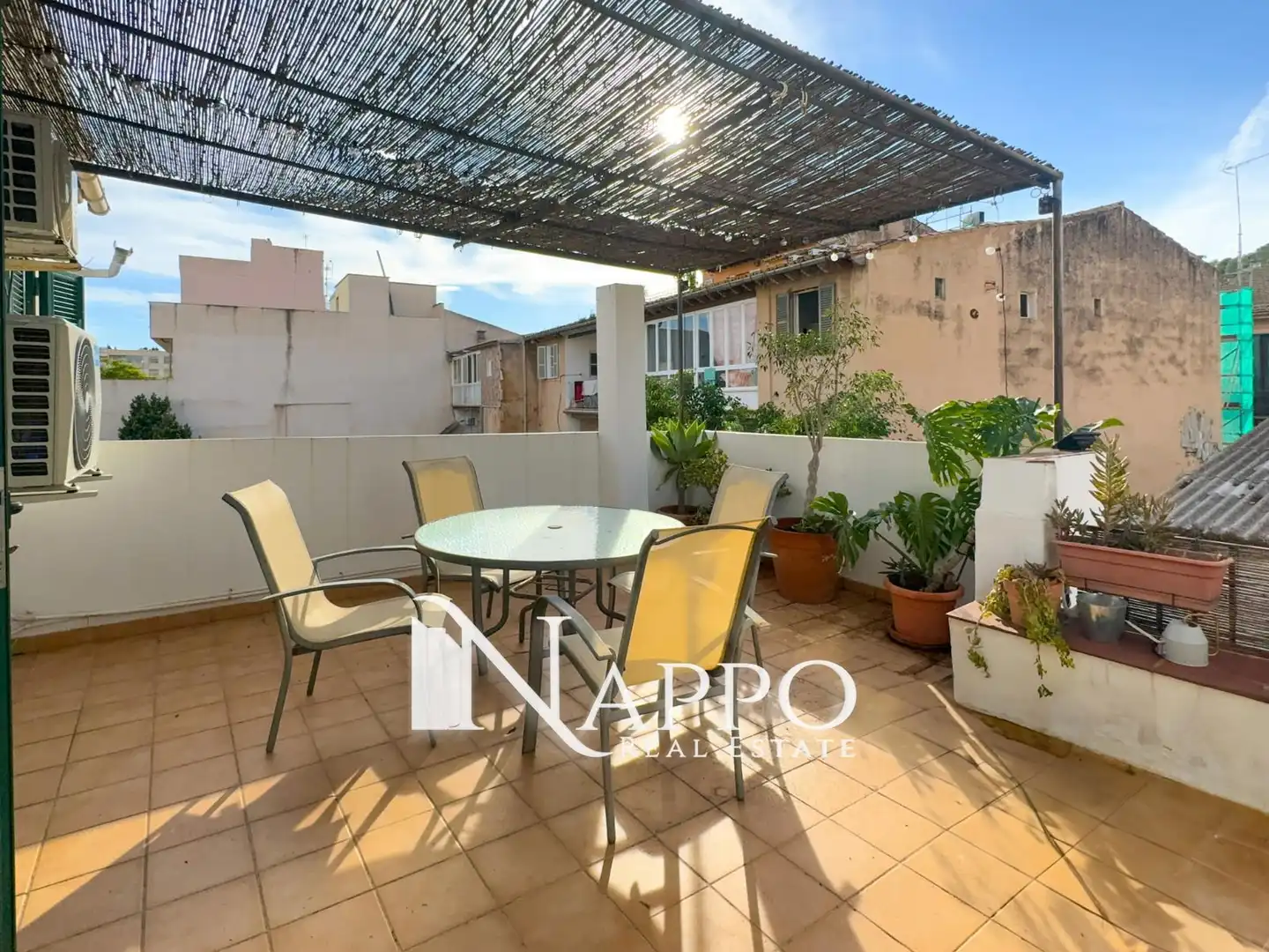 Àtic de lloguer a Reial Patrimoni, El Terreno