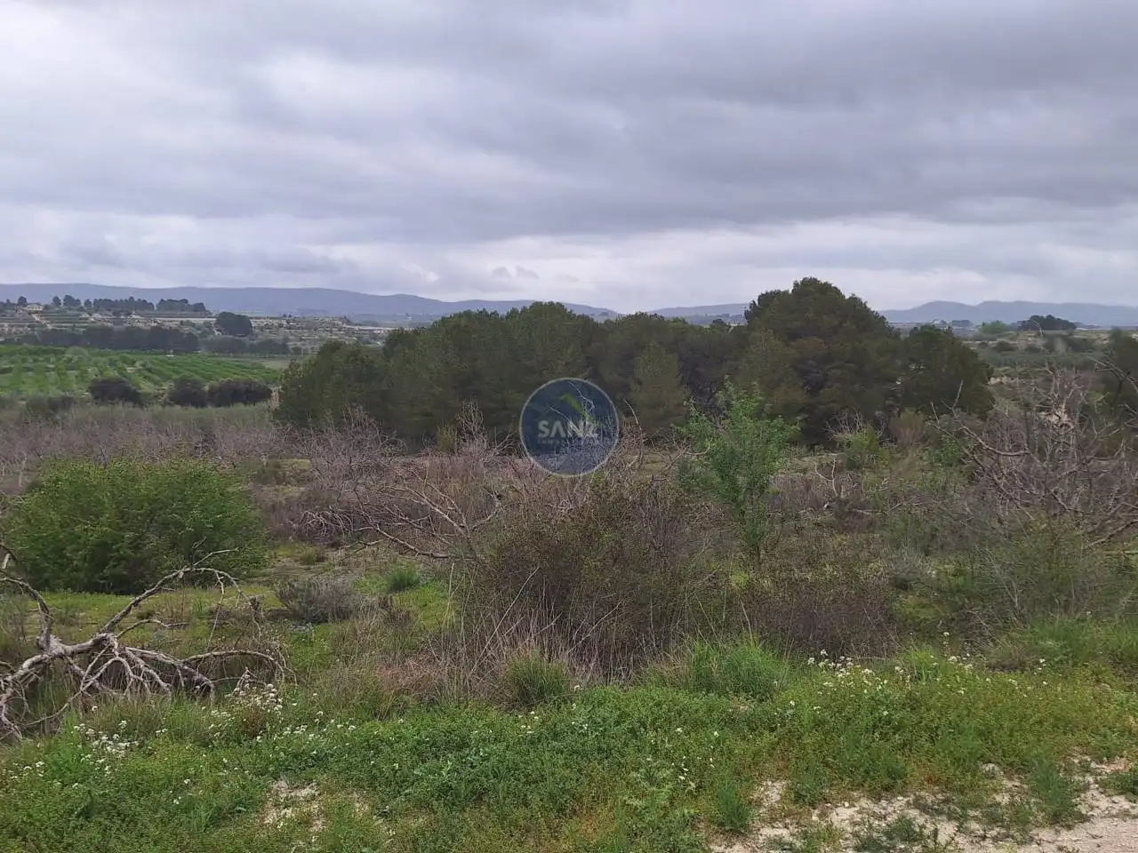 Terreny rústic en venda a Pda Barranc de l´Algar