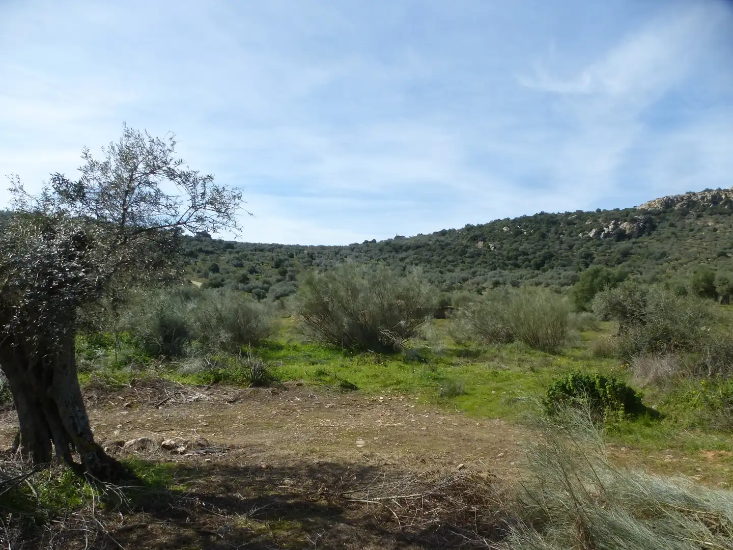 Terreno rústico en venta en Navalvillar de Pela