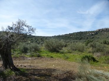 Terreny rústic en venda a Navalvillar de Pela