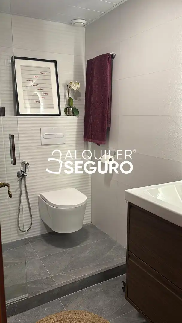Bany de Pis de lloguer en Sevilla amb Aire condicionat i Terrassa