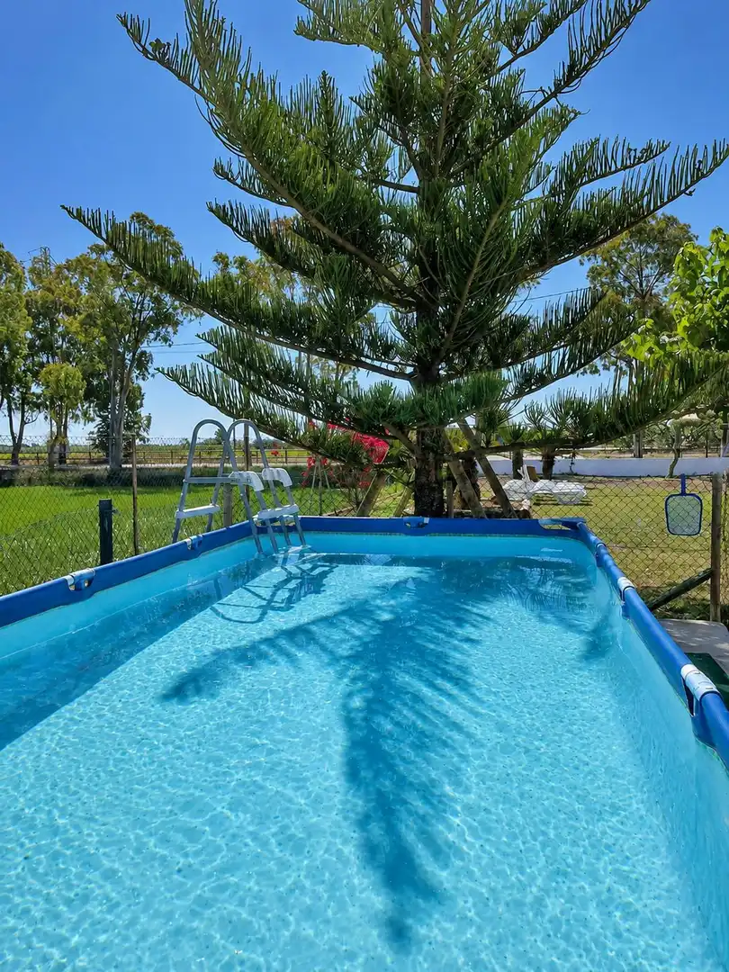 Casa rústica en venta en Deltebre, imagen 32