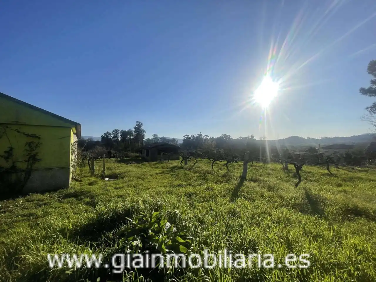 Casa con jardín en venta en Calle Xestal, imagen 10