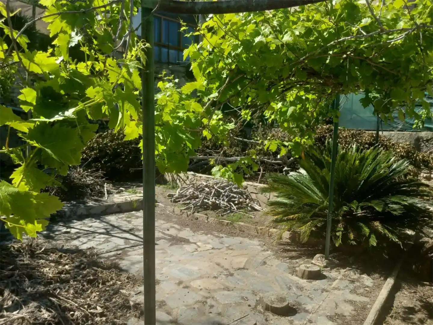 Jardí de Finca rústica en venda en Cervera