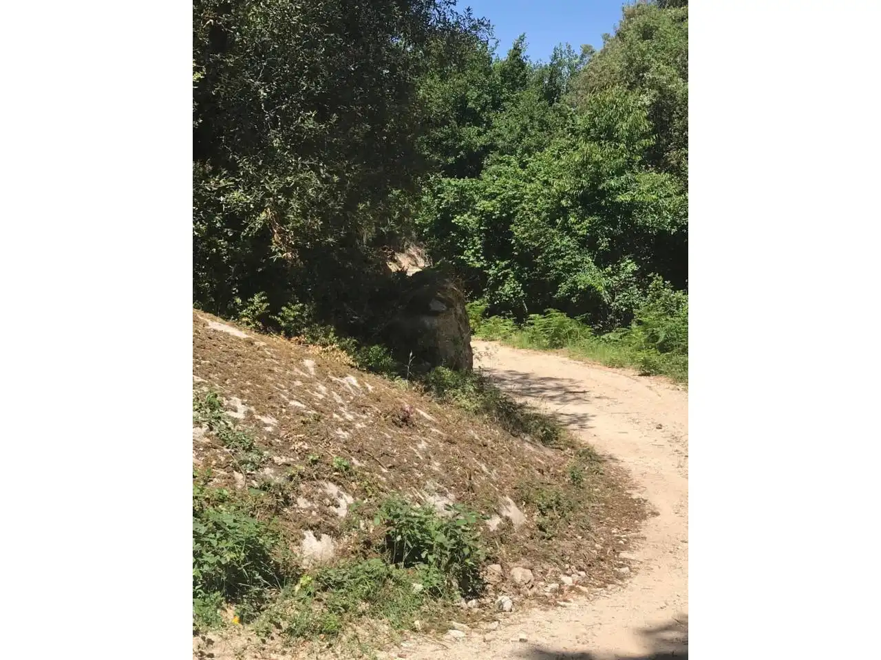 Land for sale in Vilanova del Vallès