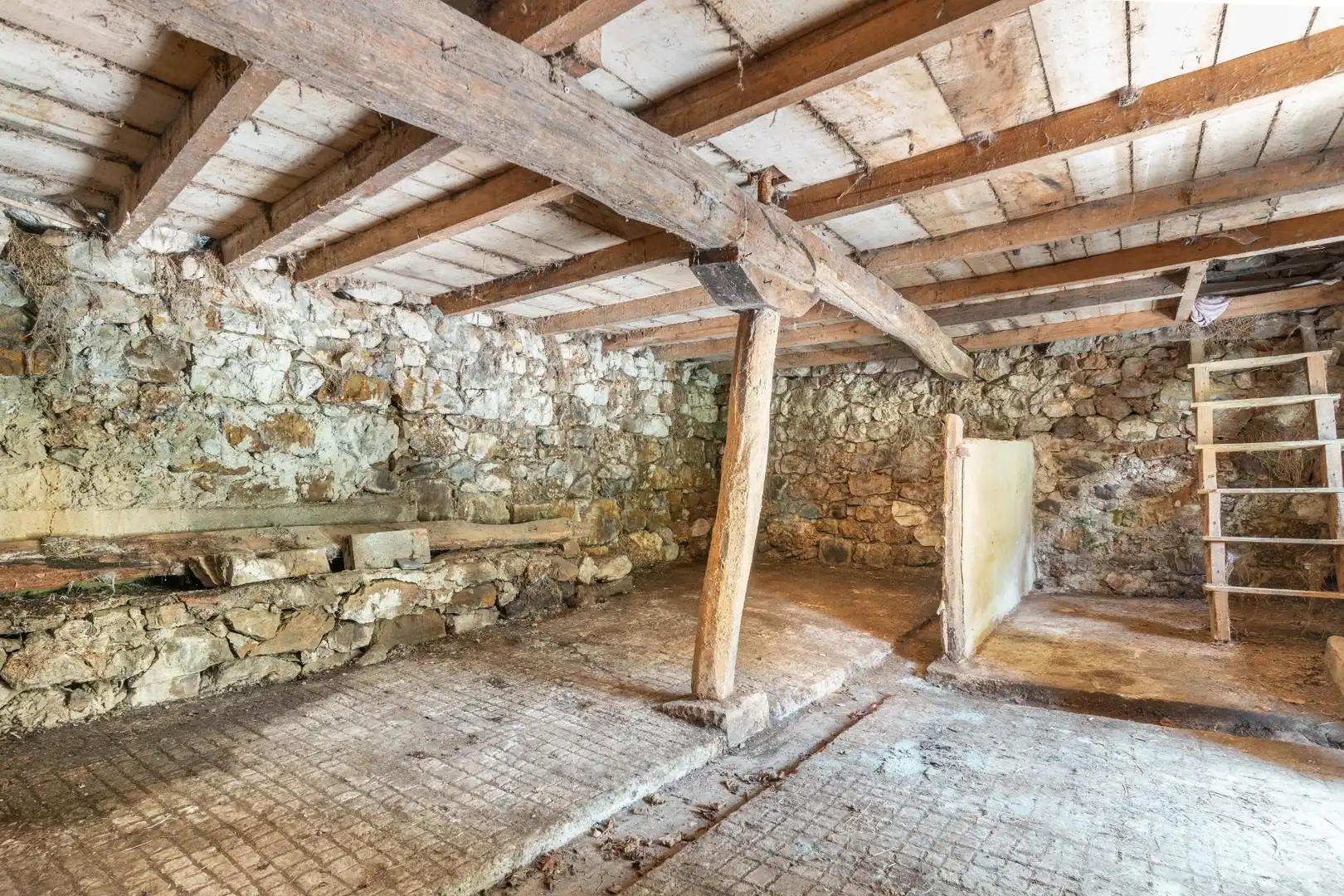 Terreno en venta en Peñamellera Alta