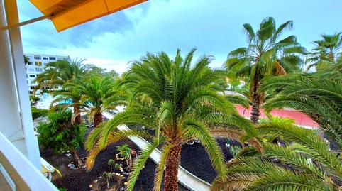 Foto 3 de Apartamento de alquiler en Avenida de Tirajana, Playa del Inglés, San Bartolomé de Tirajana