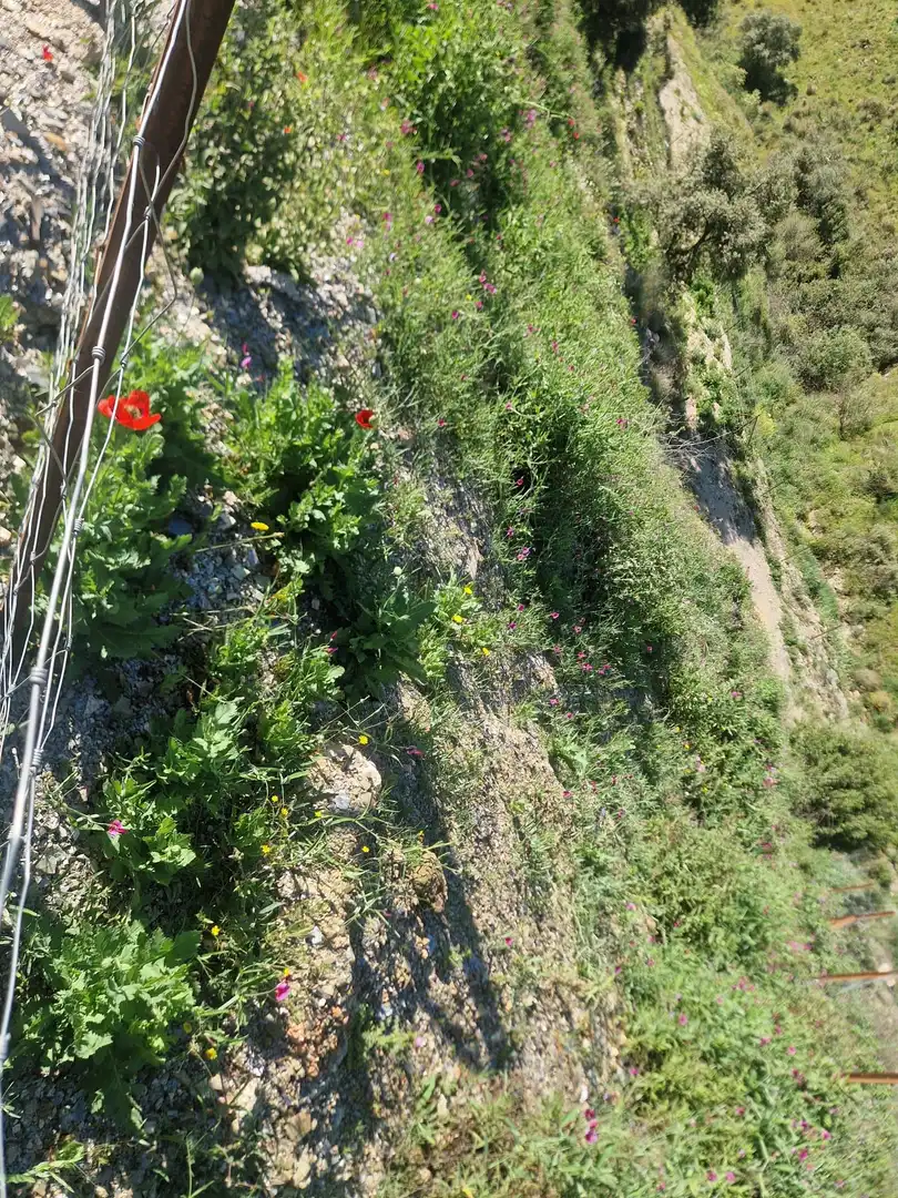 Terreni e lotti in vendita a Lugar AR PP-R7 RESID CARRASCO, imagen 4