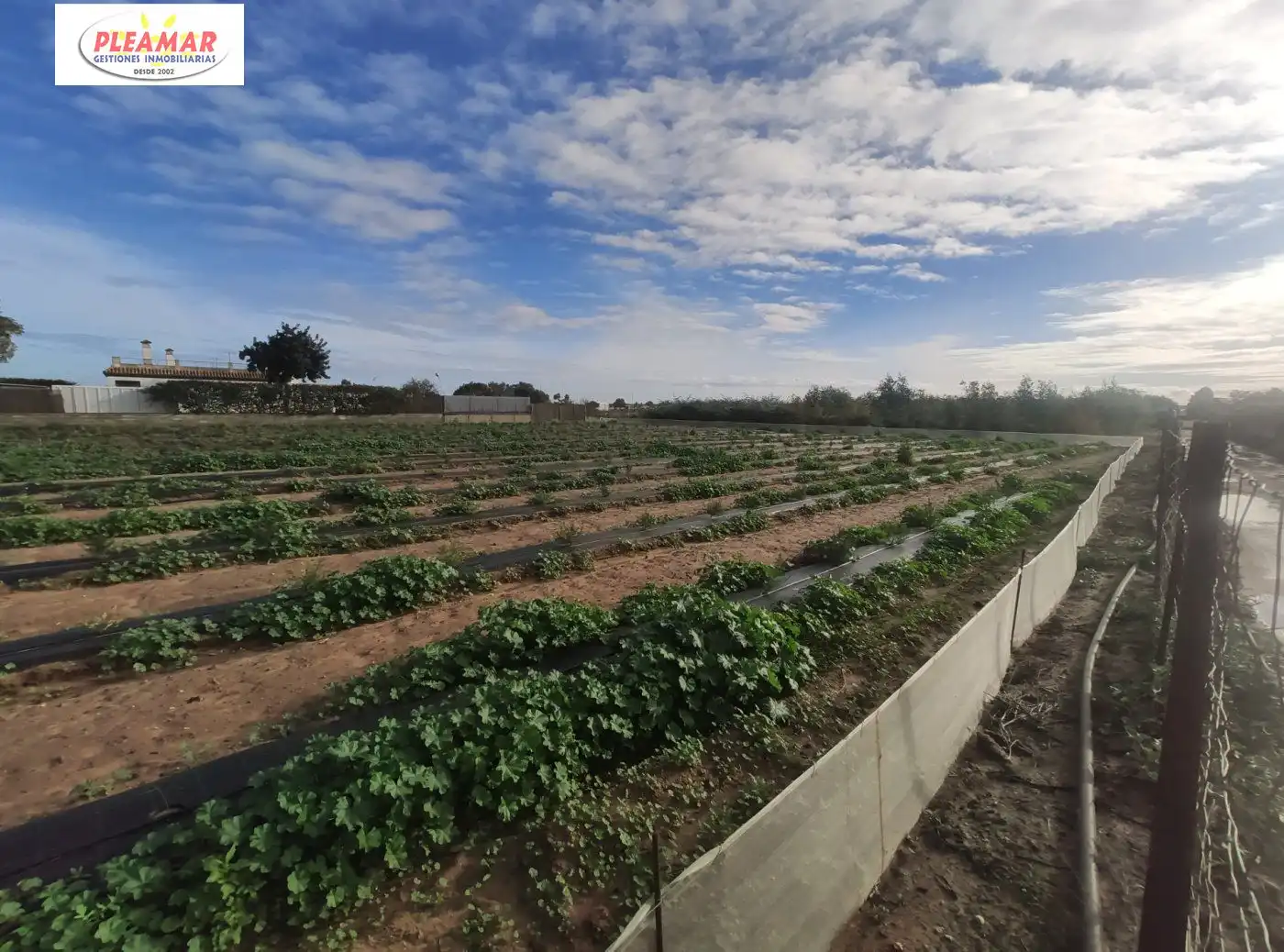 Residencial en venta en Chipiona Norte