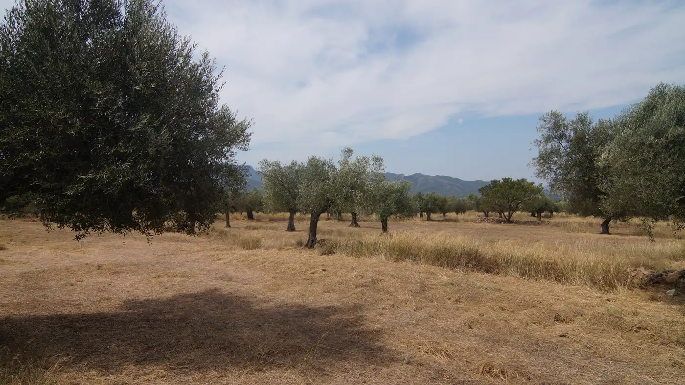 Casa rustica con terrazza in vendita a Tivissa, imagen 50