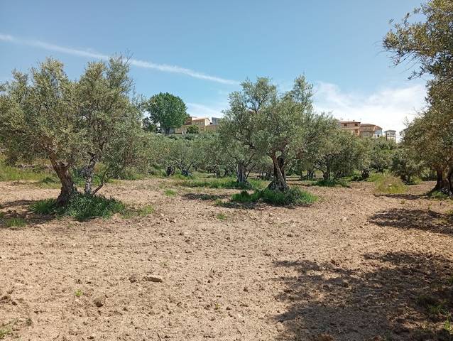 Terreno en Venta en Villanueva de la Vera