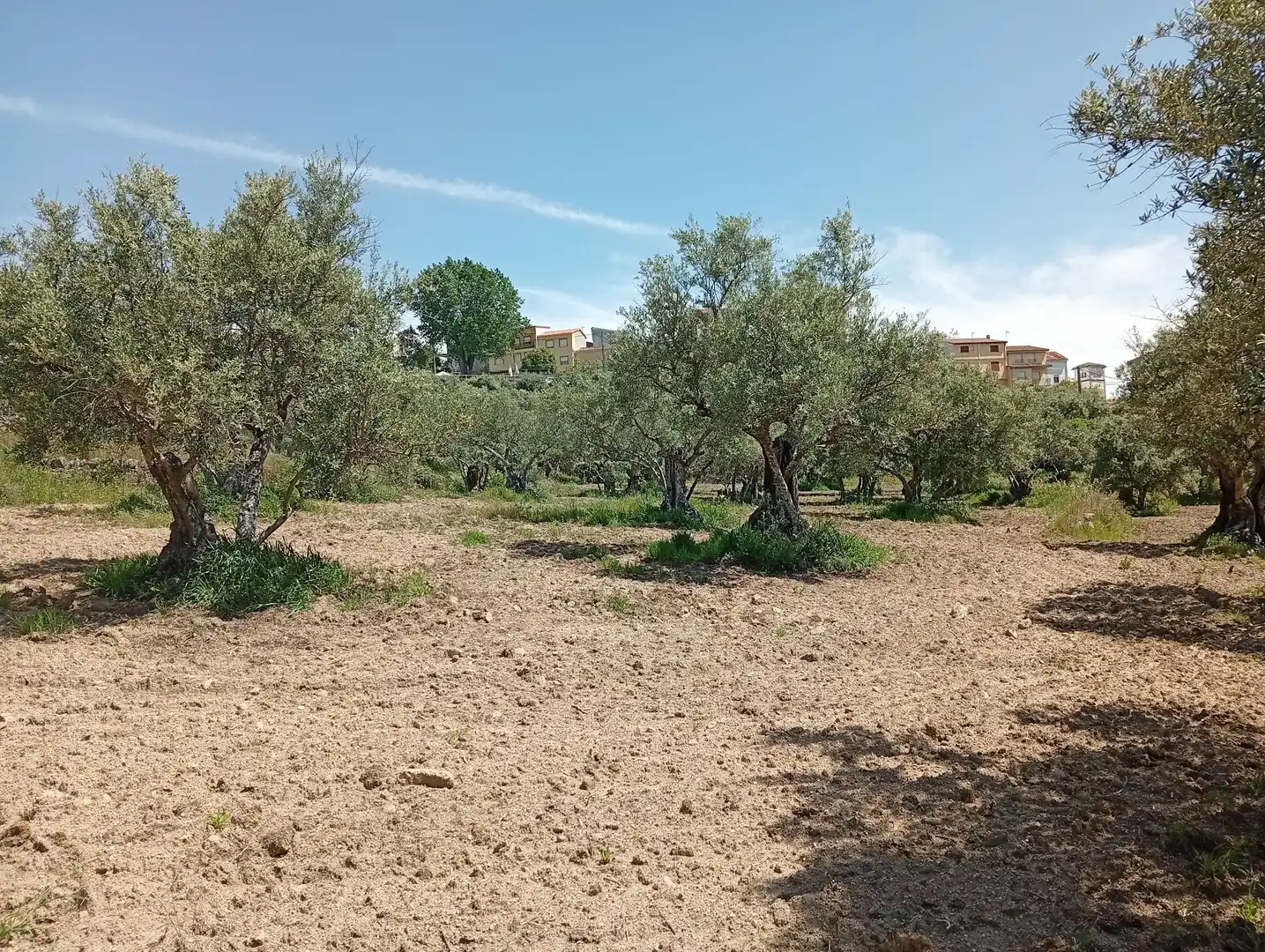 Terreni e lotti in vendita a Villanueva de la Vera