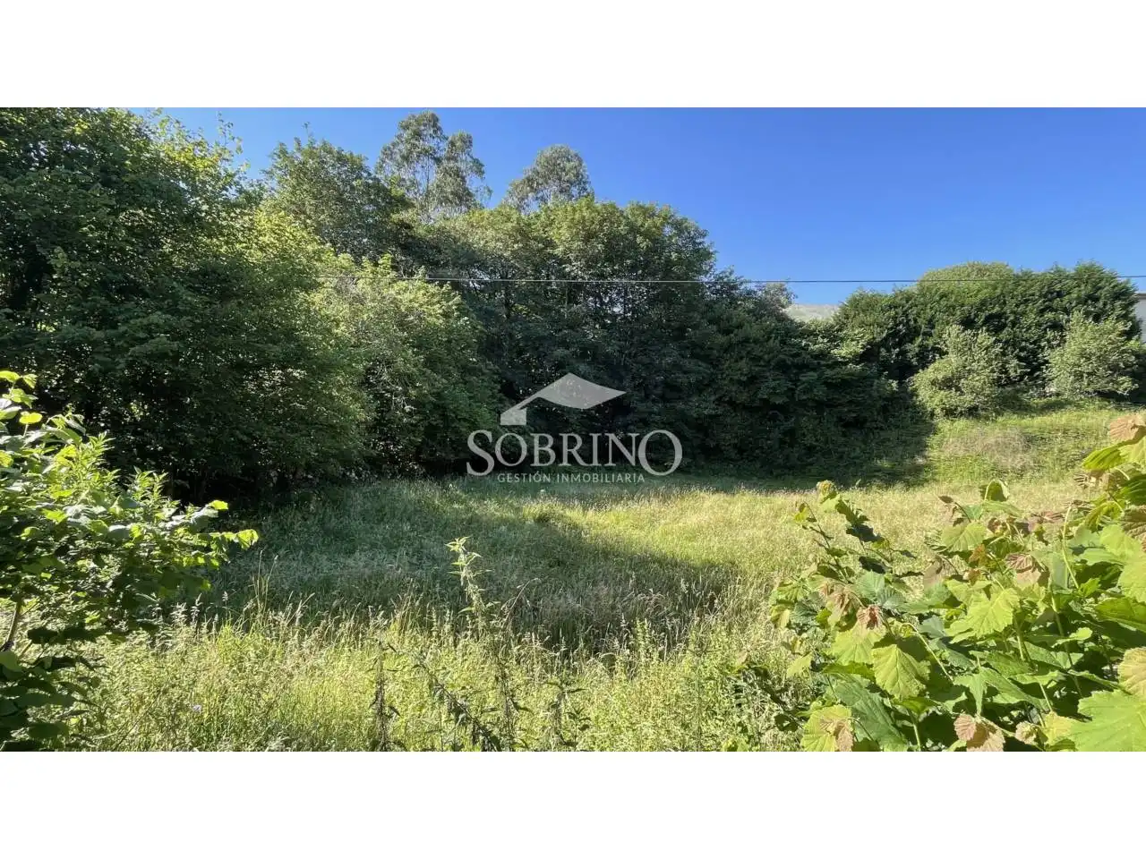 Terreno residencial en venta en Calle La Pereda 0, imagen 3
