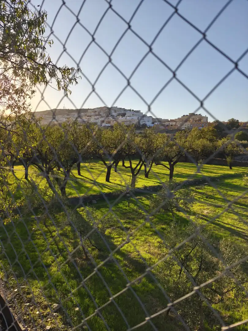 Casa rústica amb terrassa en venda a Abla, imagen 30