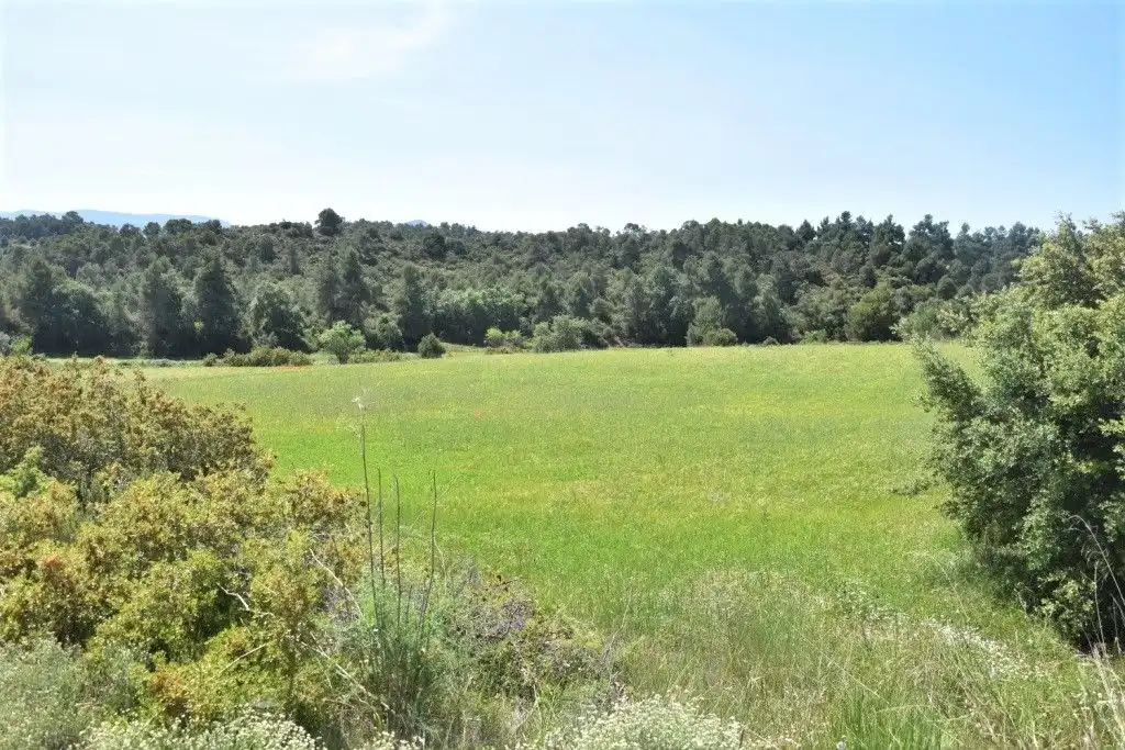 Terreni e lotti in vendita a Cretas