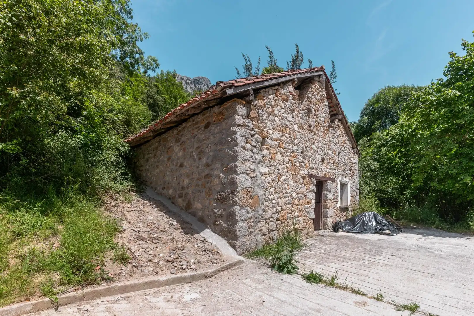 Vista exterior de Terreno en venta en Peñamellera Alta