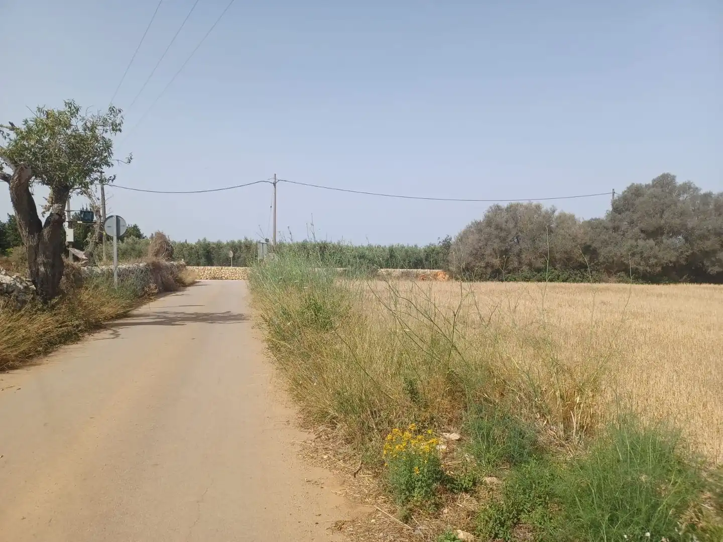 Terrenys i solars en venda a Felanitx Poble, imagen 7