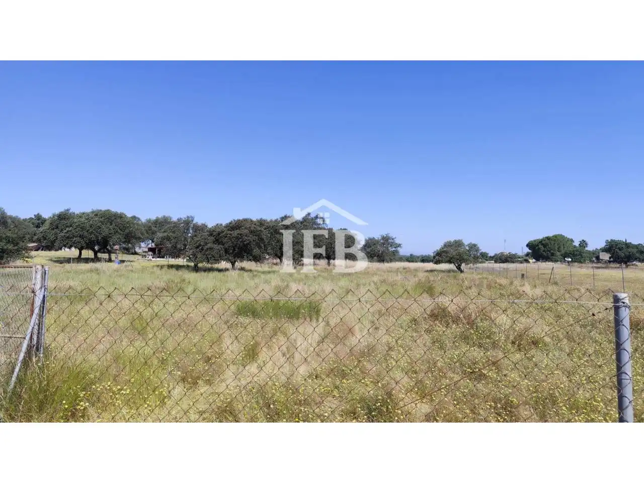 Land for sale in Badajoz