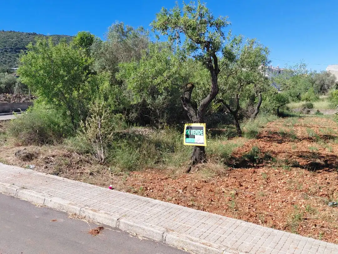 Terreno residencial en venta en san pedro 28, imagen 4
