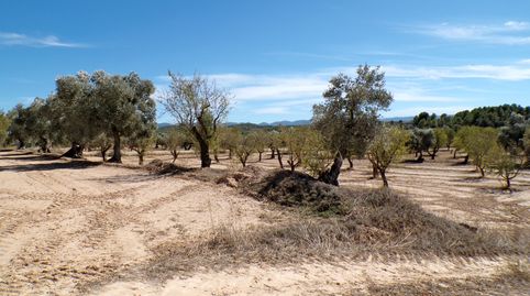 Finca rústica en Calaceite, immagine 2