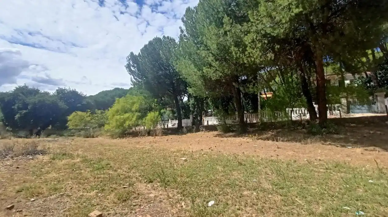 Lands and plots for sale in Campamento, imagen 7