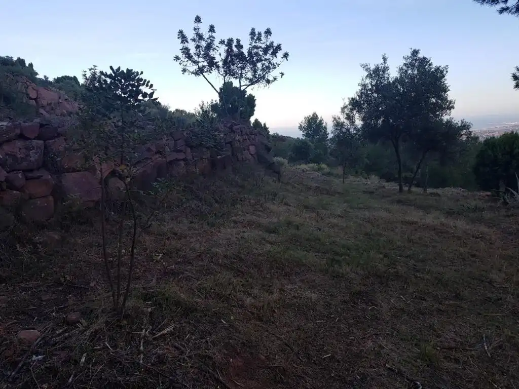 Terreno rústico en venta en CANTERERES, LES, imagen 5