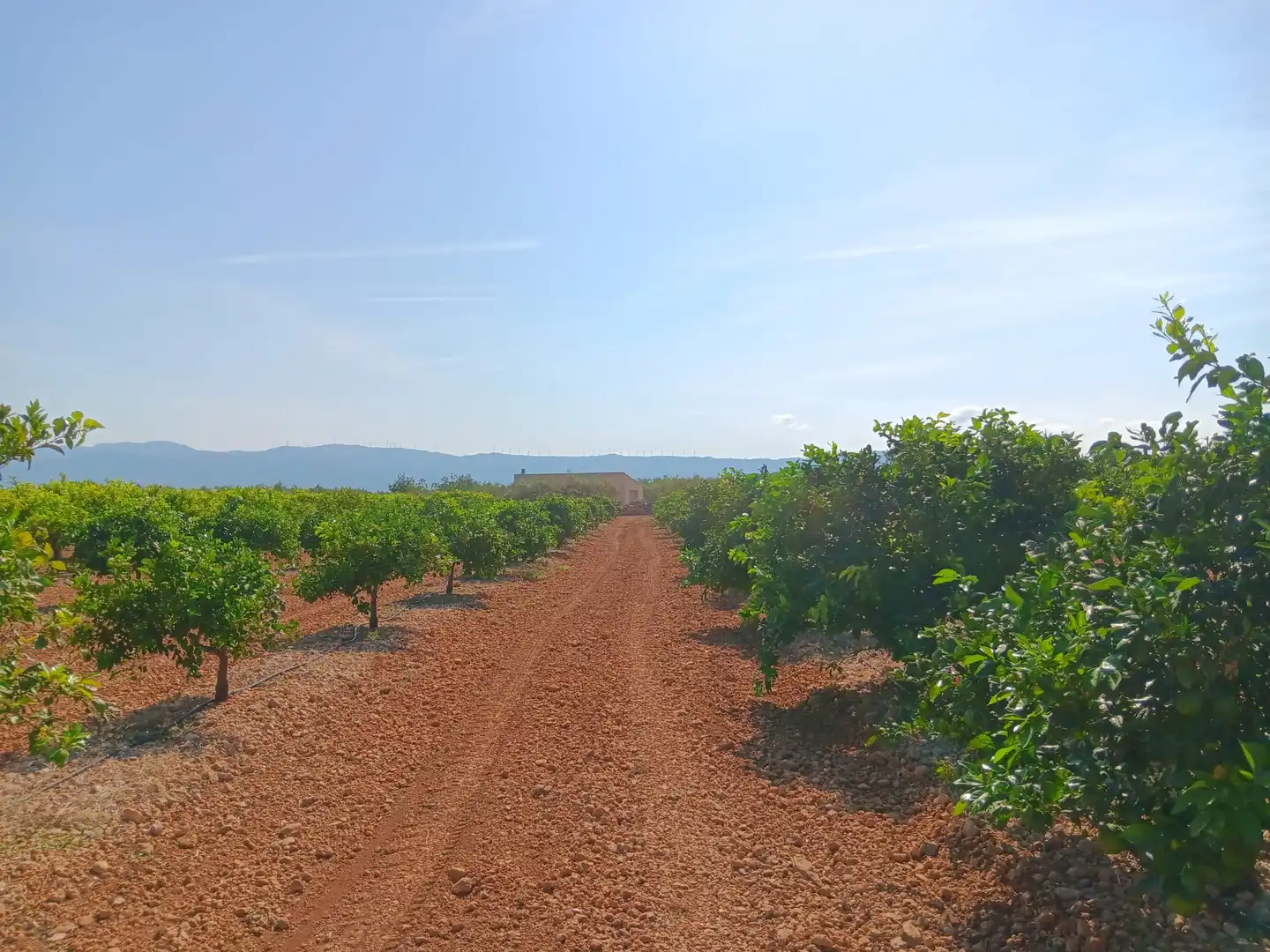 Lands and plots for sale in Roquetes, imagen 30