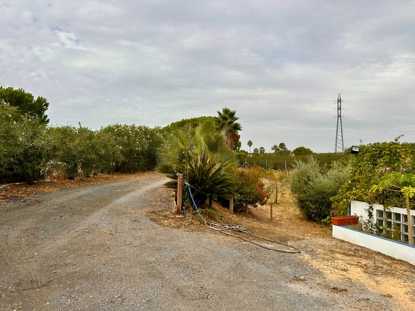 Country homes for sale in Lepe, Huelva