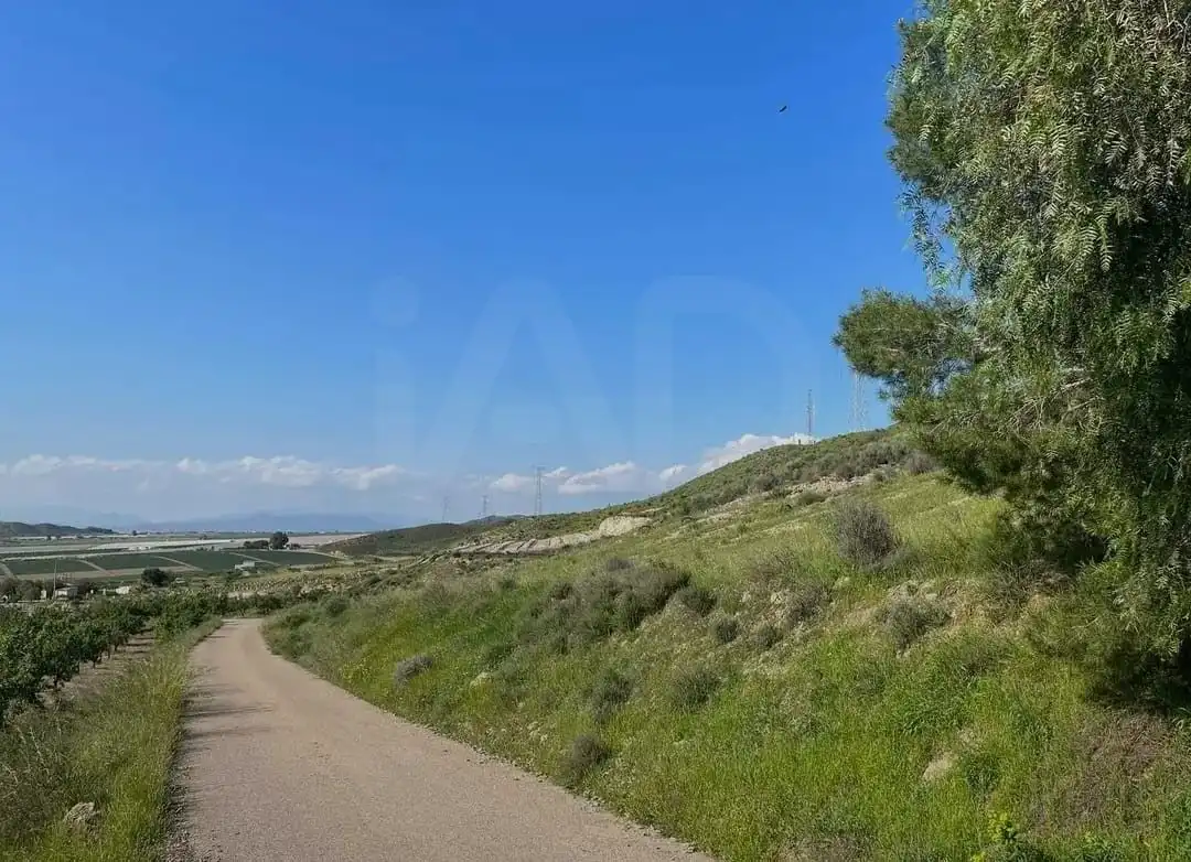 Terreni e lotti in vendita a Pedanías Sur, imagen 12