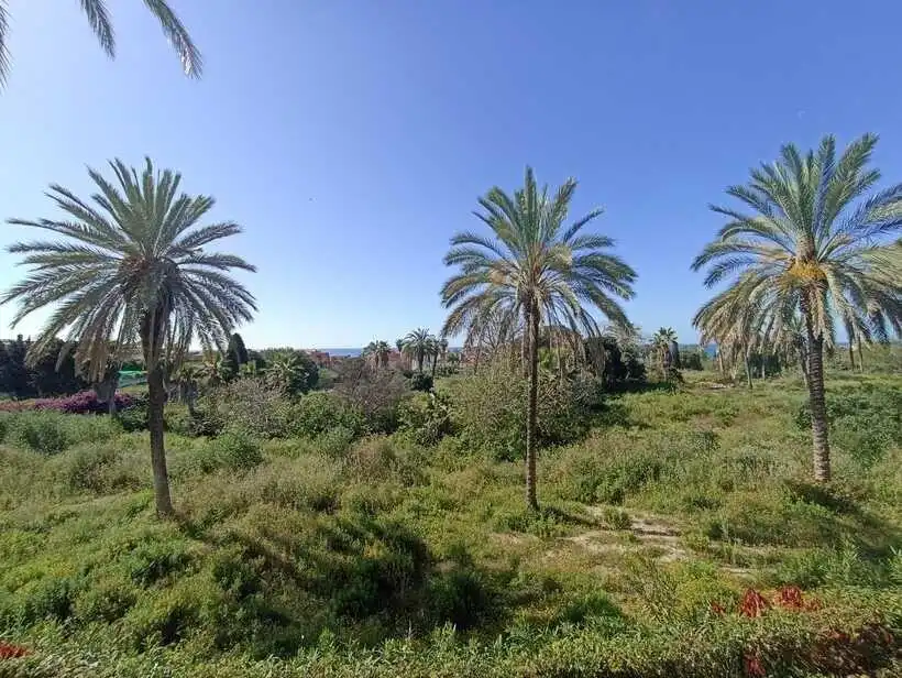 Terraced house with pool for sale in Manilva Pueblo, imagen 17