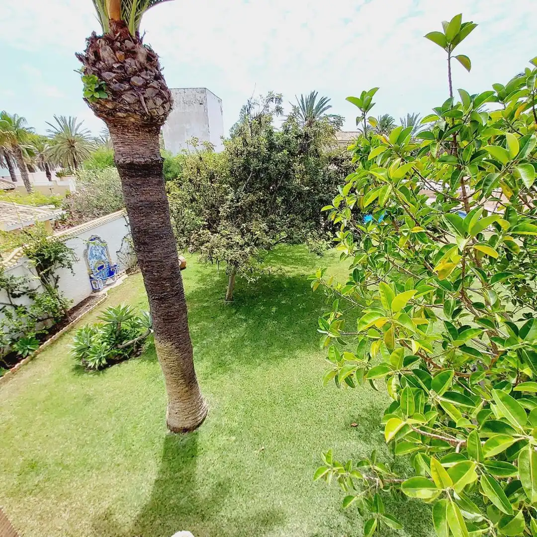 Jardí de Casa o xalet en venda en Orihuela amb Terrassa, Traster i Piscina