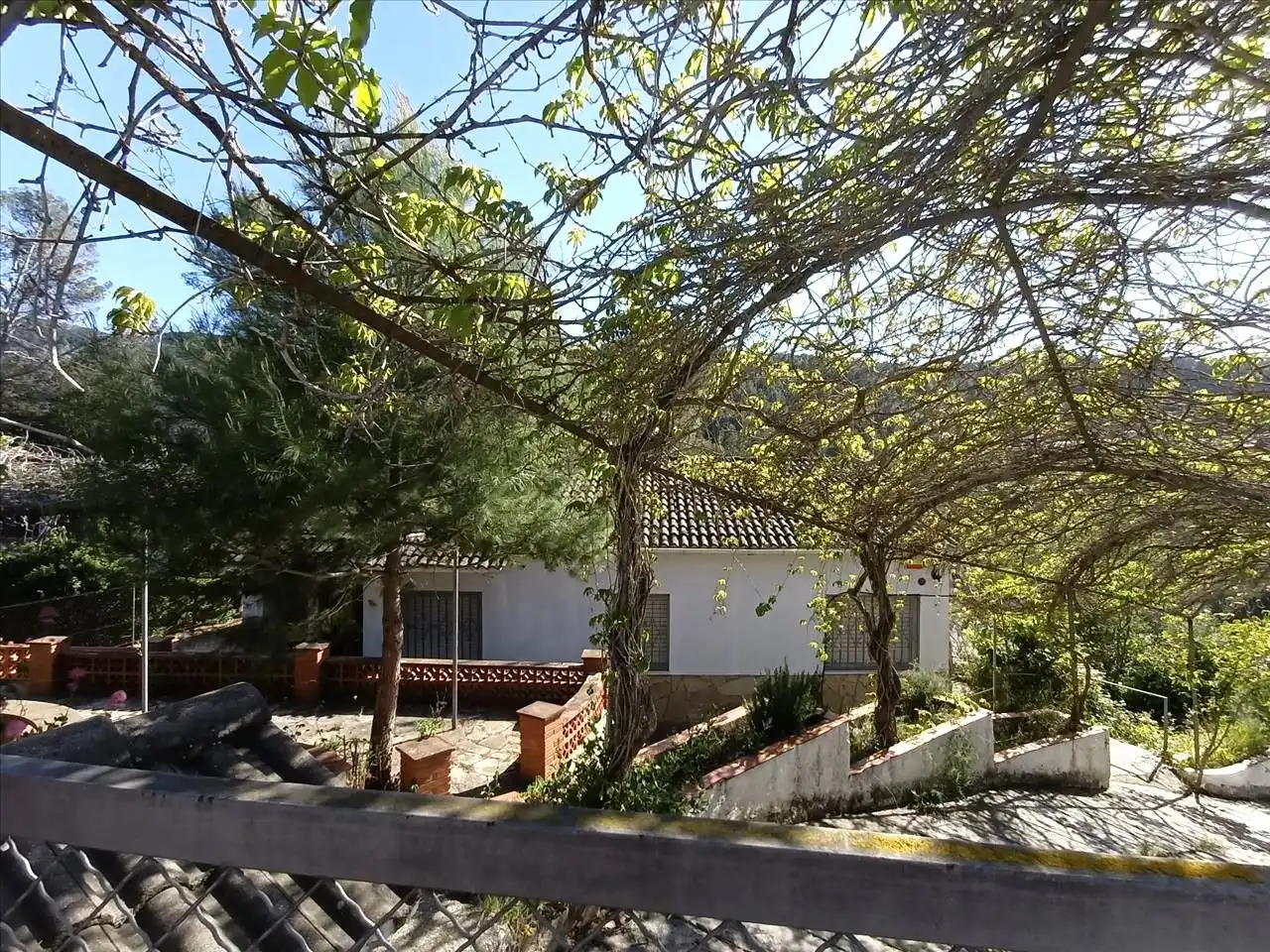 Vista exterior de Casa o chalet en venta en Castellví de Rosanes con Jardín privado, Terraza y Piscina