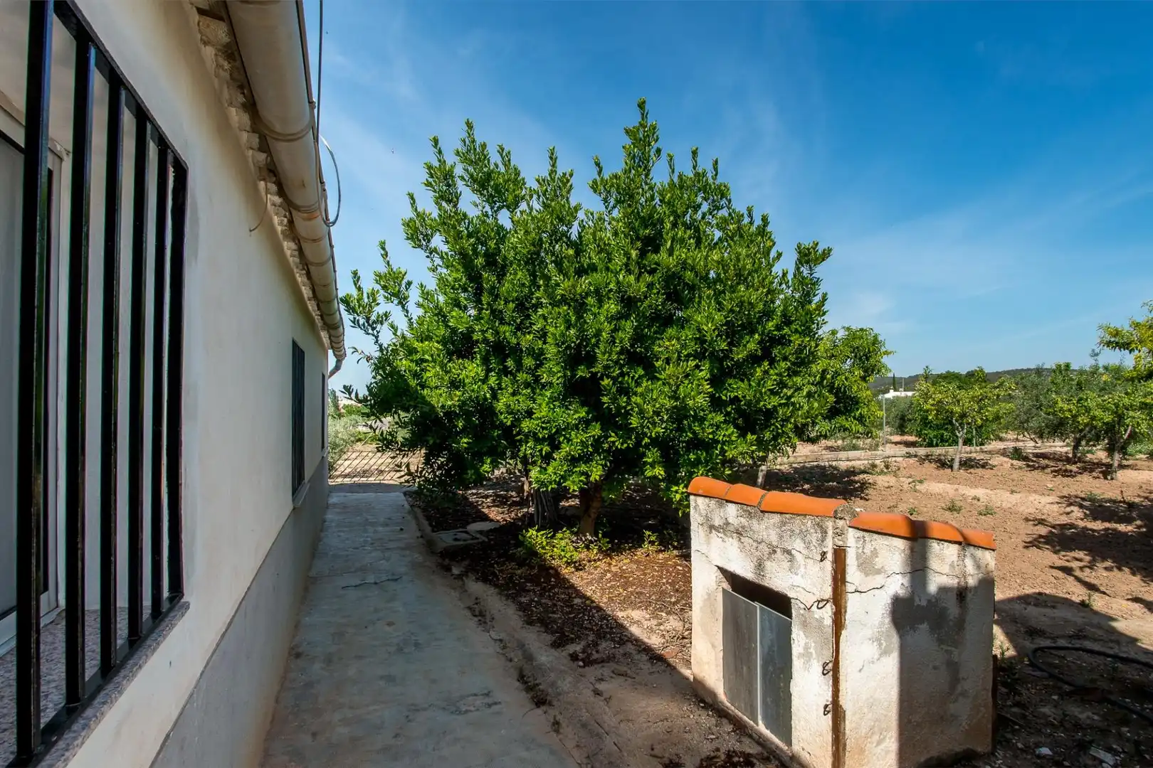 Vista exterior de Casa o xalet en venda en Cehegín amb Piscina i Moblat