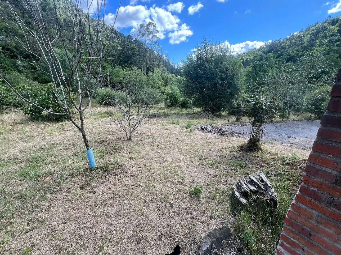 Casa o xalet en venda a Colunga