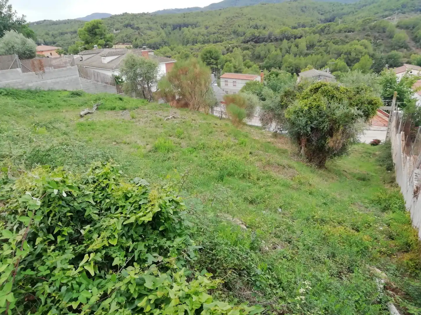 Terreno rustico in vendita a Piera