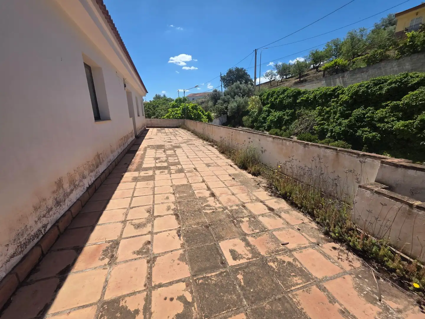 Inmuebles singulares en venta en Viñuela, imagen 6