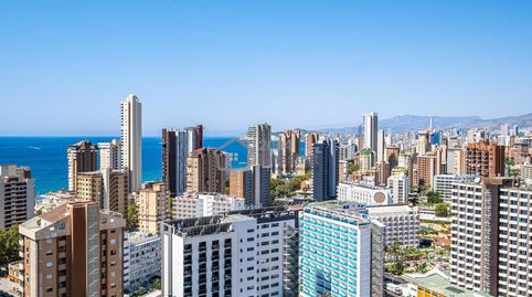 Photo 3 of Study for sale in Juan Fuster Zaragoza, Rincón Bajo, Benidorm