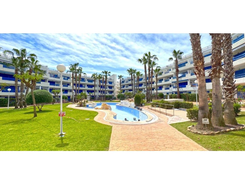 Vista exterior de Apartament en venda en Orihuela amb Terrassa, Moblat i Piscina comunitària