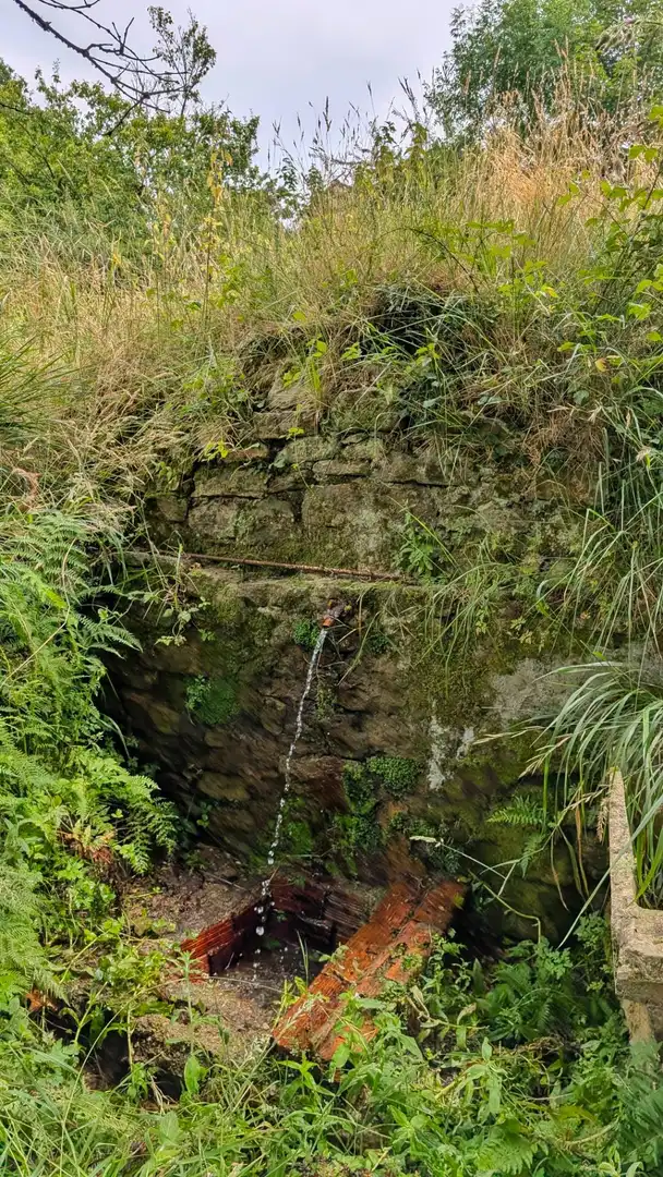 Vista exterior de Finca rústica en venda en Torrelavega  amb Jardí privat