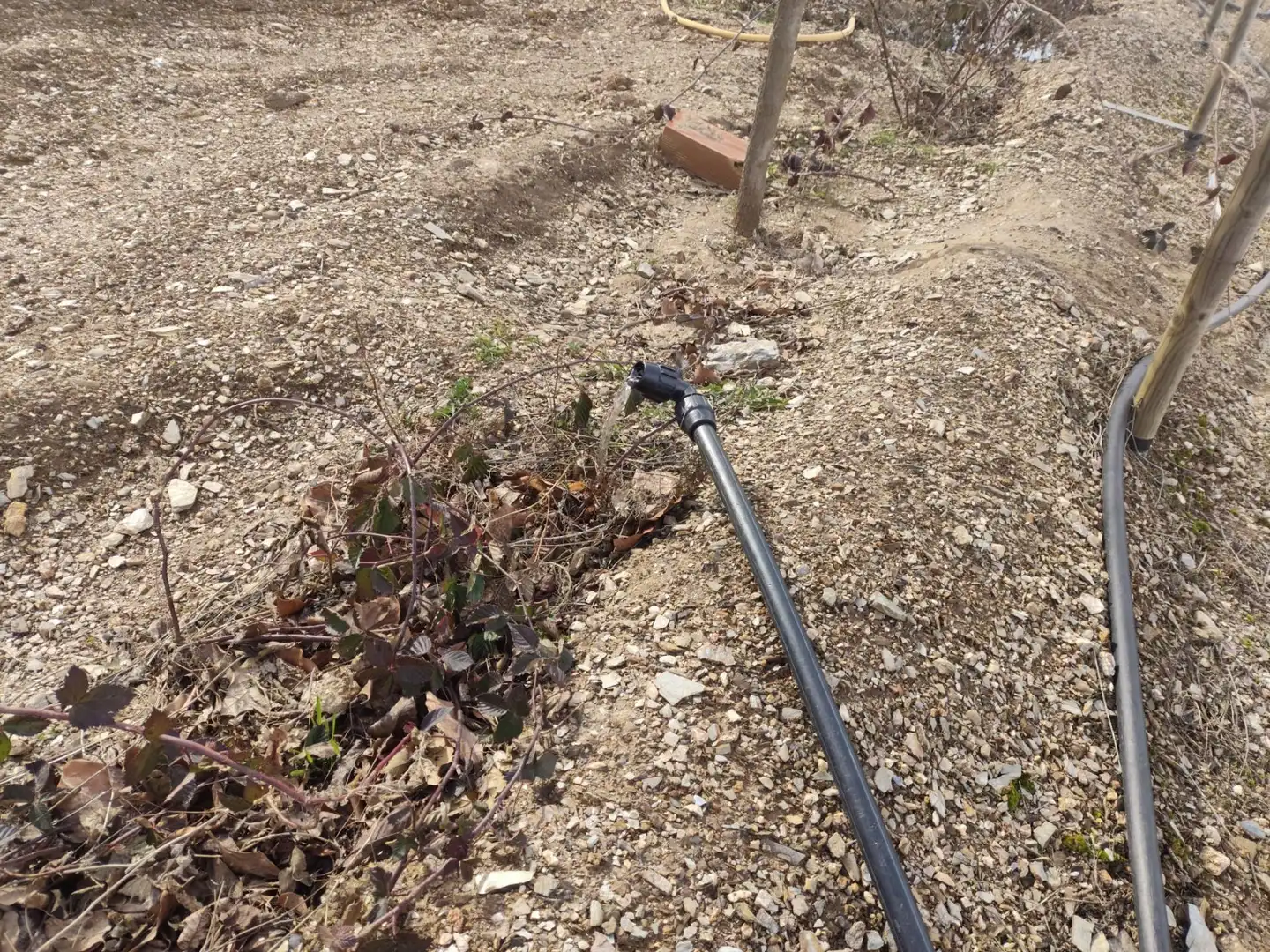 Finca rústica en venta en Cástaras