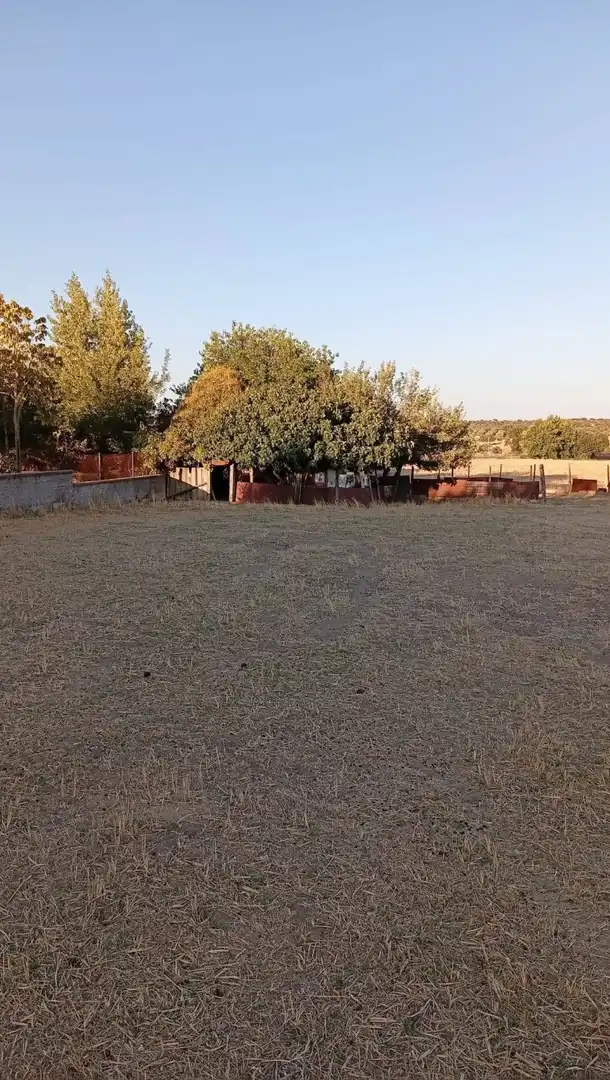 Terreny residencial en venda a Aldea del Cano, imagen 9