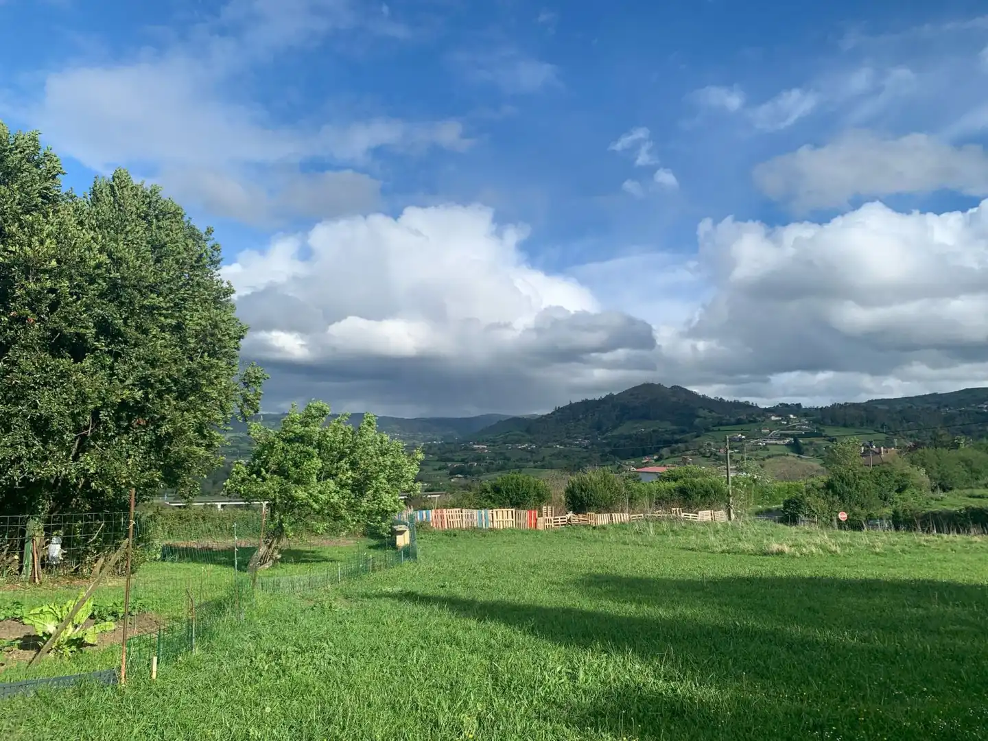 Terrenys i solars en venda a De la Fuente del Alamo, imagen 11