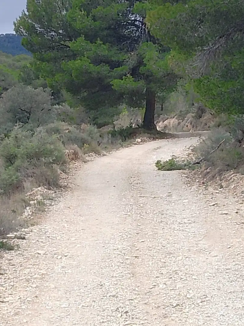 Vista exterior de Casa o xalet en venda en Tibi amb Jardí privat, Terrassa i Moblat