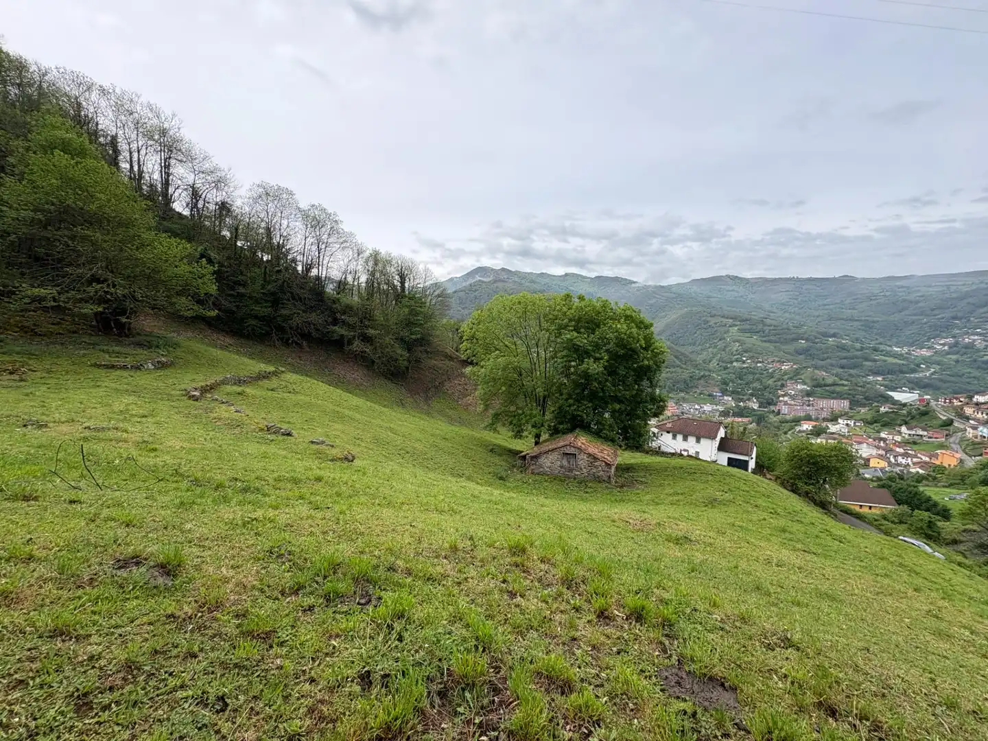 Casa o chalet en venta en Aller con Jardín privado
