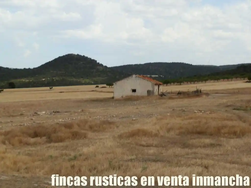 Rural land for sale in Chinchilla de Monte-Aragón, imagen 5