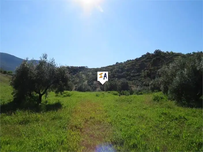 Terreni e lotti in vendita a Martos, imagen 4