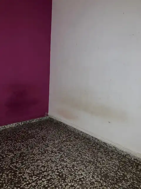 Casa o xalet en venda en Zaidín
