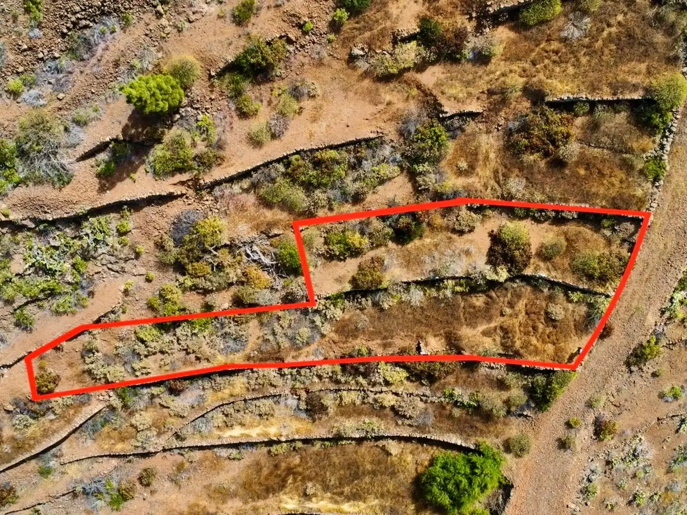 Rural land for sale in Guía de Isora interior, imagen 8